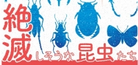 １１月～３月企画展「絶滅しそうな昆虫たち」