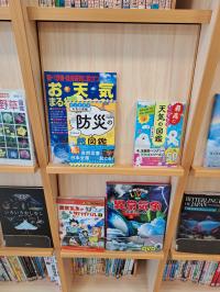 【お天気のふしぎ】雨が降ると頭が痛い…「気象病」の原因と、今日からできる対策